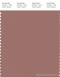 PANTONE SMART 17-1516X Color Swatch Card, Burlwood