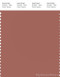 PANTONE SMART 17-1525X Color Swatch Card, Cedar Wood
