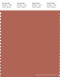 PANTONE SMART 17-1532X Color Swatch Card, Aragon