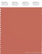 PANTONE SMART 17-1540X Color Swatch Card, Apricot Brandy