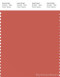 PANTONE SMART 17-1544X Color Swatch Card, Burnt Sienna