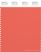 PANTONE SMART 17-1547X Color Swatch Card, Emberglow