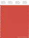 PANTONE SMART 17-1553X Color Swatch Card, Paprika