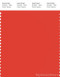 PANTONE SMART 17-1558X Color Swatch Card, Grenadine