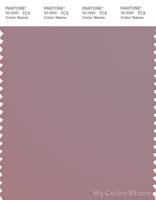 PANTONE SMART 17-1605X Color Swatch Card, Elderberry