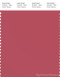 PANTONE SMART 17-1633X Color Swatch Card, Holly Berry