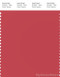 PANTONE SMART 17-1641X Color Swatch Card, Chrysanthemum
