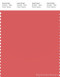 PANTONE SMART 17-1644X Color Swatch Card, Spiced Coral