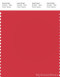 PANTONE SMART 17-1654X Color Swatch Card, Poinsettia