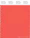PANTONE SMART 17-1656X Color Swatch Card, Hot Coral