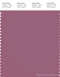 PANTONE SMART 17-1710X Color Swatch Card, Bordeaux