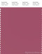 PANTONE SMART 17-1723X Color Swatch Card, Malaga
