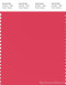 PANTONE SMART 17-1753X Color Swatch Card, Geranium