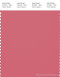 PANTONE SMART 17-1927X Color Swatch Card, Desert Rose