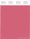 PANTONE SMART 17-1929X Color Swatch Card, Rapture Rose