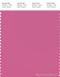 PANTONE SMART 17-2520X Color Swatch Card, Ibis Rose