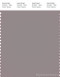 PANTONE SMART 17-2601X Color Swatch Card, Zinc