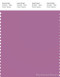 PANTONE SMART 17-3014X Color Swatch Card, Mulberry