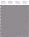 PANTONE SMART 17-3802X Color Swatch Card, Gull