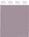 PANTONE SMART 17-3808X Color Swatch Card, Nirvana