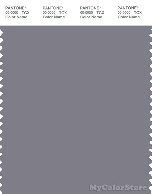 PANTONE SMART 17-3907X Color Swatch Card, Quicksilver