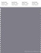 PANTONE SMART 17-3907X Color Swatch Card, Quicksilver