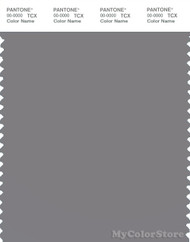 PANTONE SMART 17-3911X Color Swatch Card, Silver Filigree