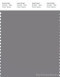 PANTONE SMART 17-3911X Color Swatch Card, Silver Filigree