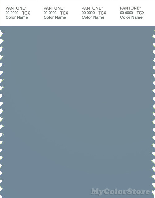 PANTONE SMART 17-4111X Color Swatch Card, Cadet Gray