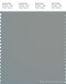 PANTONE SMART 17-4402X Color Swatch Card, Neutral Gray