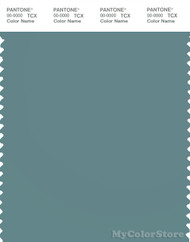 PANTONE SMART 17-4911X Color Swatch Card, Arctic