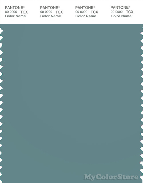 PANTONE SMART 17-4911X Color Swatch Card, Arctic