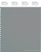 PANTONE SMART 17-5102X Color Swatch Card, Griffin