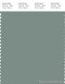 PANTONE SMART 17-5107X Color Swatch Card, Chinois Greeen
