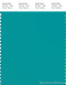 PANTONE SMART 17-5126X Color Swatch Card, Viridine Green