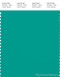 PANTONE SMART 17-5335X Color Swatch Card, Spectra Green
