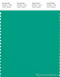PANTONE SMART 17-5638X Color Swatch Card, Vivid Green