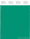 PANTONE SMART 17-5641X Color Swatch Card, Emerald