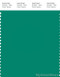 PANTONE SMART 17-5734X Color Swatch Card, Viridis