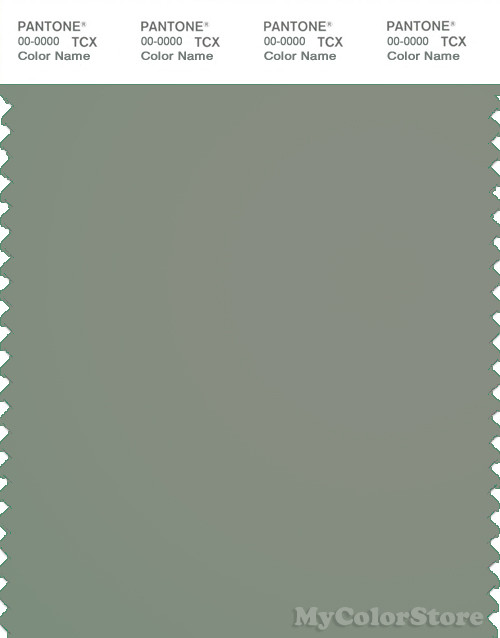 PANTONE SMART 17-6206X Color Swatch Card, Shadow