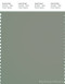 PANTONE SMART 17-6206X Color Swatch Card, Shadow