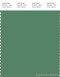 PANTONE SMART 17-6219X Color Swatch Card, Deep Grass Green
