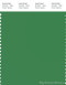 PANTONE SMART 17-6229X Color Swatch Card, Medium Green