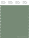 PANTONE SMART 17-6323X Color Swatch Card, Hedge Green