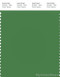 PANTONE SMART 17-6333X Color Swatch Card, Mint Green