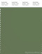 PANTONE SMART 18-0108X Color Swatch Card, Dill