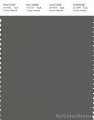 PANTONE SMART 18-0306X Color Swatch Card, Gunmetal