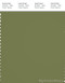 PANTONE SMART 18-0324X Color Swatch Card, Calliste Green