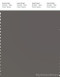 PANTONE SMART 18-0403X Color Swatch Card, Dark Gull Gray