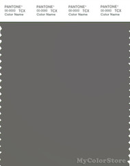 PANTONE SMART 18-0503X Color Swatch Card, Gargoyle